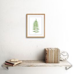 "Artery8 Wall Art Print Fern Polypodium Fraxinifolium Art Framed 9x7 inch in Beige - Size: W7"" x H9""" - thumbnail 2