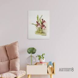 "Artery8 Frederick Sander Miltonia Moreliana Orchid Flowers Canvas Art Print - Size: W12"" x H16""" - thumbnail 3
