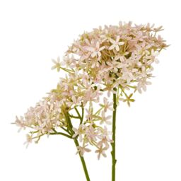 Hill Interiors Hydrangea Artificial Flower in Pink - thumbnail 2