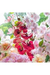 KDMD Crushed Raspberry Phalaenopsis Orchid Stem in Pink - thumbnail 4