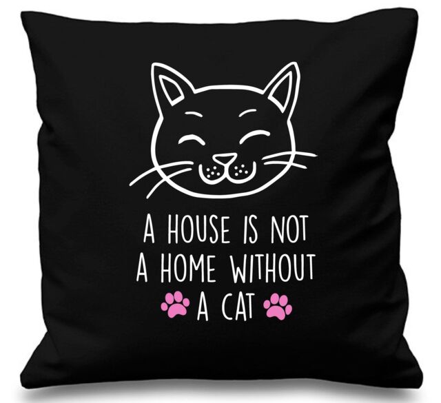 "60 SECOND MAKEOVER Cushion Cover A House Is Not A Home Without A Cat 16"" x 16"" in Black - Size: 40 cm x 40 cm"