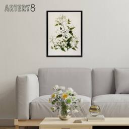 "Artery8 New Zealand Pikiarero White Clematis Flower Featon Framed Canvas Art in Beige - Size: W18"" x H24""" - thumbnail 3