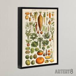 "Artery8 Millot Encyclopedia Page Vegetables Legumes Framed Canvas Wall Art Print - Size: W12"" x H16""" - thumbnail 2