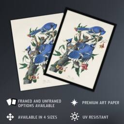 "Artery8 Blue Jay & Trumpet Flowers Audubon Nature Wall Art Print Poster in White - Size: W12"" x H16""" - thumbnail 2