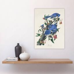 "Artery8 Blue Jay & Trumpet Flowers Audubon Nature Wall Art Print Poster in White - Size: W12"" x H16""" - thumbnail 4