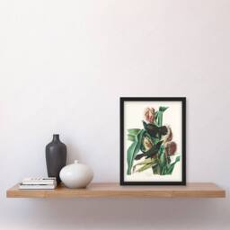 Artery8 John James Audubon Framed Wall Art Purple Grackle Crow Blackbird in White - Size: A4 - thumbnail 2