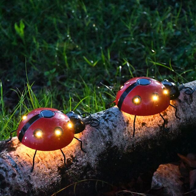 Leaper Pack of 2 Outdoor Solar Ladybug Decorative Garden Lights in Yellow - image 1