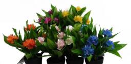 Leaf 18cm Artificial Freesia Plant White Flowering Premium - thumbnail 5