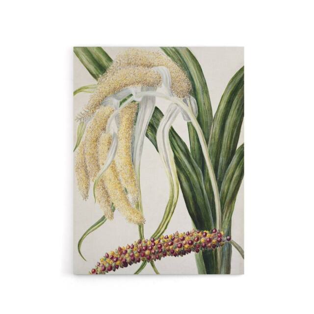 "Artery8 New Zealand Perching Lily Flower Plant Featon Canvas Wall Art Print in Beige - Size: W12"" x H16""" - image 1