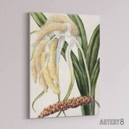 "Artery8 New Zealand Perching Lily Flower Plant Featon Canvas Wall Art Print in Beige - Size: W12"" x H16""" - thumbnail 2