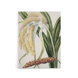"Artery8 New Zealand Perching Lily Flower Plant Featon Canvas Wall Art Print in Beige - Size: W12"" x H16""" - thumbnail 1