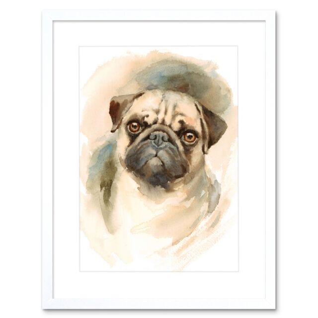 "Artery8 Wall Art Print Dog Pug Watercolour Art Framed 9x7 inch in White - Size: W7"" x H9""" - image 1