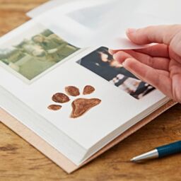 Paper High Indra Chakra Embossed Leather Album with Semi-Precious Stones in Brown - Size: Large - thumbnail 3