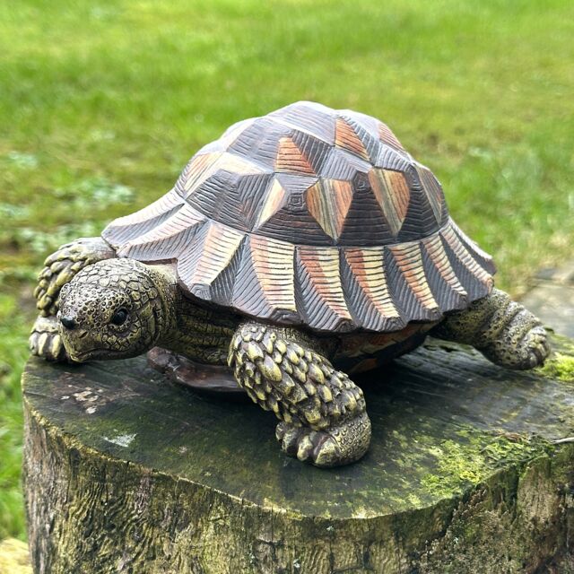 Animal Crackers Large Realistic Tortoise Figurine Home Or Garden Decoration, Gift Boxed in Brown - image 1