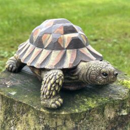 Animal Crackers Large Realistic Tortoise Figurine Home Or Garden Decoration, Gift Boxed in Brown - thumbnail 6