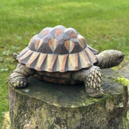 Animal Crackers Large Realistic Tortoise Figurine Home Or Garden Decoration, Gift Boxed in Brown - thumbnail 7