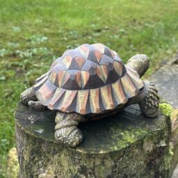 Animal Crackers Large Realistic Tortoise Figurine Home Or Garden Decoration, Gift Boxed in Brown - thumbnail 8