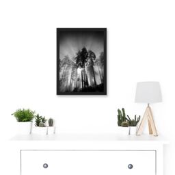 Artery8 Trees Light Fog Black White Moonlit Forest A4 Artwork Framed Wall Art Print - thumbnail 2