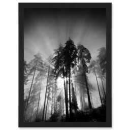 Artery8 Trees Light Fog Black White Moonlit Forest A4 Artwork Framed Wall Art Print - thumbnail 1