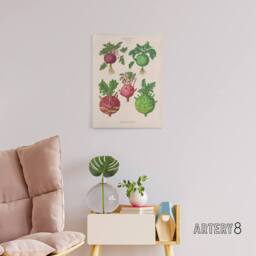 "Artery8 Kohlrabi Turnip Cabbage Ernst Benary Canvas Wall Art Print in White - Size: W12"" x H16""" - thumbnail 3