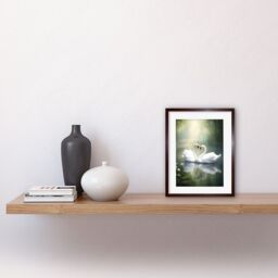 "Artery8 Wall Art Print Elegant Love Heart Swans Photo Misty Morning River Scene Love Romance Artwork Framed 9X7 Inch in Brown - Size: W7"" x H9""" - thumbnail 2