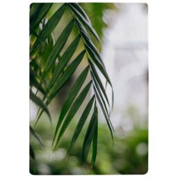 Benjamin Tate Design Closeup Of Green Palm Leaf Designer Rug in Natural - Size: Large - thumbnail 1