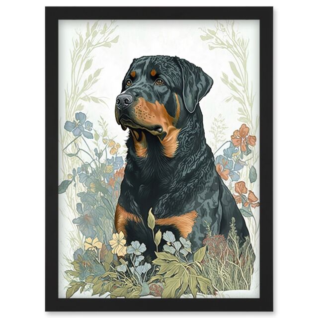 Artery8 Rottweiler Dog Sitting in Flower Field Modern Watercolour Illustration Artwork Framed Wall Art Print A4 in Black - image 1