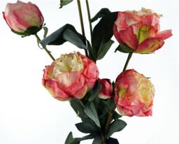 Leaf 6 x 55cm Pink Peony Artificial Flower Stems - 24 flowers 18 buds - Size: 6 x 55 cm - thumbnail 5