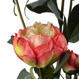 Leaf 6 x 55cm Pink Peony Artificial Flower Stems - 24 flowers 18 buds - Size: 6 x 55 cm - thumbnail 6