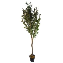 Leaf 150cm Artificial Natural Look Olive Tree with Wooden Trunk in Green - thumbnail 1