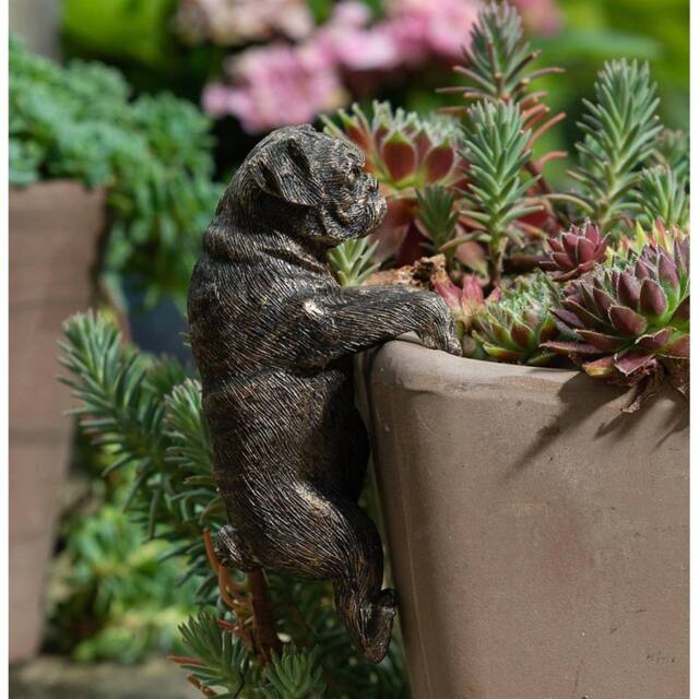 Jardinopia Pug Plant Pot Hanger - L10.5 x W4.5 x H6 cm in Bronze - image 1
