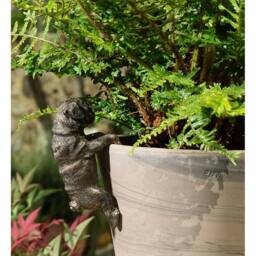 Jardinopia Pug Plant Pot Hanger - L10.5 x W4.5 x H6 cm in Bronze - thumbnail 2