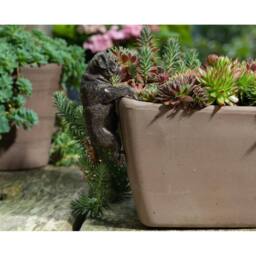 Jardinopia Pug Plant Pot Hanger - L10.5 x W4.5 x H6 cm in Bronze - thumbnail 5