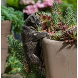 Jardinopia Pug Plant Pot Hanger - L10.5 x W4.5 x H6 cm in Bronze - thumbnail 1