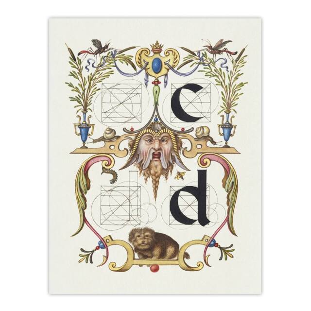 "Artery8 Pictoral Letter Guide C & D Calligraphy Wall Art Poster Print in White - Size: W24"" x H32""" - image 1