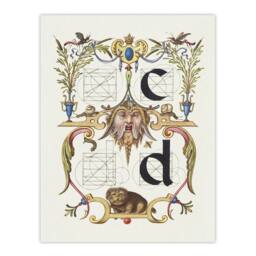 "Artery8 Pictoral Letter Guide C & D Calligraphy Wall Art Poster Print in White - Size: W24"" x H32""" - thumbnail 1