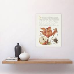 "Artery8 Insects Orange Lily & Apple Calligraphy Wall Art Poster Print in White - Size: W24"" x H32""" - thumbnail 4