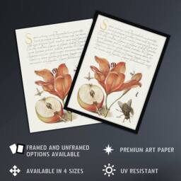 "Artery8 Insects Orange Lily & Apple Calligraphy Wall Art Poster Print in White - Size: W24"" x H32""" - thumbnail 2