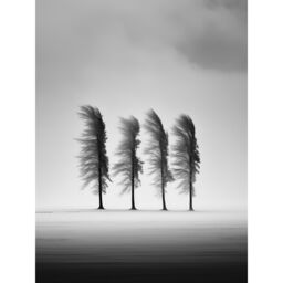 Artery8 Wall Art Print Still Holding Strong Black & White Winter Landscape Photograph Wind Blowing on a Row of Cypress Hills Poster - thumbnail 1