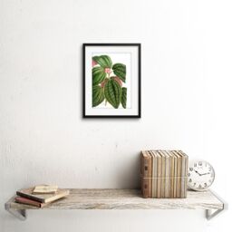 "Artery8 Wall Art Print Flower Spotted Leaves Pink Green Art Framed 9x7 inch in Black - Size: W7"" x H9""" - thumbnail 2