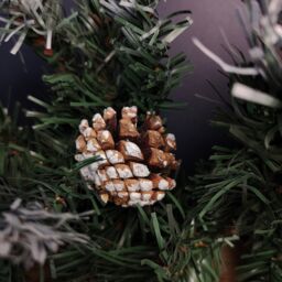 Samuel Alexander 2.7m Green Mixed Needle Christmas Garland with Pine Cones & Red Berries - thumbnail 4
