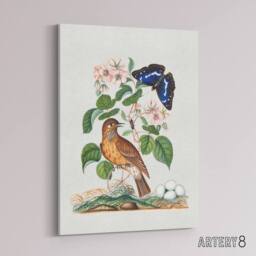"Artery8 Spotted Flycatcher & Purple Emperor Bolton Canvas Wall Art in White - Size: W18"" x H24""" - thumbnail 2