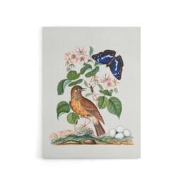 "Artery8 Spotted Flycatcher & Purple Emperor Bolton Canvas Wall Art in White - Size: W18"" x H24""" - thumbnail 1