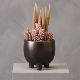 Orsina Fiori Mixed Succulents In Ceramic Pot in Grey - thumbnail 1