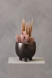 Orsina Fiori Mixed Succulents In Ceramic Pot in Grey - thumbnail 6