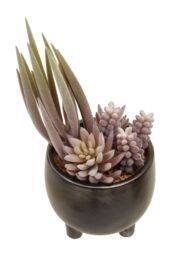 Orsina Fiori Mixed Succulents In Ceramic Pot in Grey - thumbnail 2