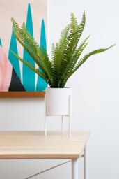 Orsina Fiori Faux Fern in White Cement Effect Pot with Iron Stand, Mid-Century Indoor Plant Decoration - thumbnail 5