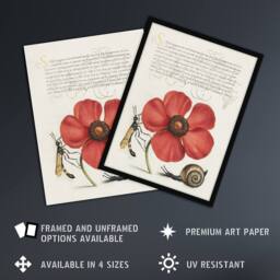 "Artery8 Poppy Snail & Crane Fly Calligraphy Wall Art Poster Print in White - Size: W24"" x H32""" - thumbnail 2