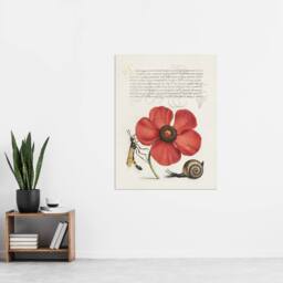 "Artery8 Poppy Snail & Crane Fly Calligraphy Wall Art Poster Print in White - Size: W24"" x H32""" - thumbnail 4