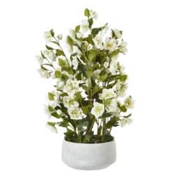 Hill Interiors Hellebore Artificial Potted Plant 85cm x 52cm x 52cm in White - Size: 85 cm x 52 cm x 52 cm - thumbnail 1